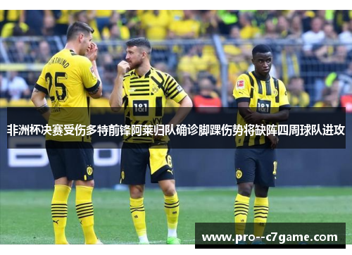 非洲杯决赛受伤多特前锋阿莱归队确诊脚踝伤势将缺阵四周球队进攻 非洲杯决赛受伤多特前锋阿莱归队确诊脚踝伤势将缺阵四周球队进攻